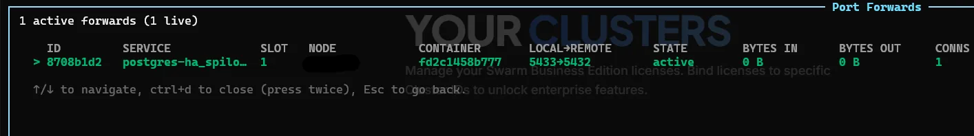 Active port-forwards screen