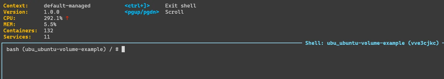 Interactive Shell Access